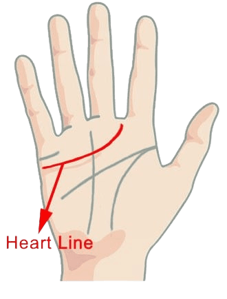 Heart Line