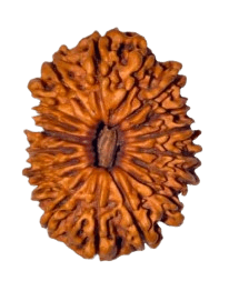 Eighteen Mukhi