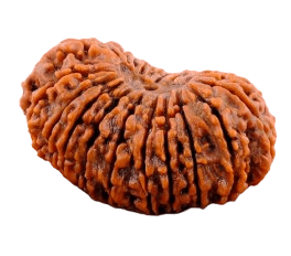 Twenty-One Mukhi